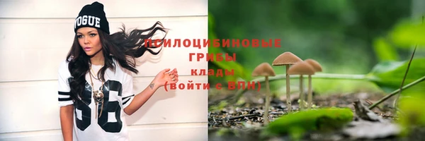ГАЛЛЮЦИНОГЕННЫЕ ГРИБЫ Верхний Тагил