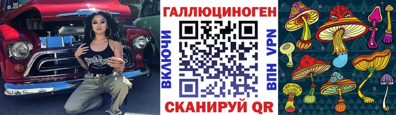 купить закладку Новоржев блэк спрут ONION shop официальный сайт Псилоцибиновые грибы GOLDEN TEACHER